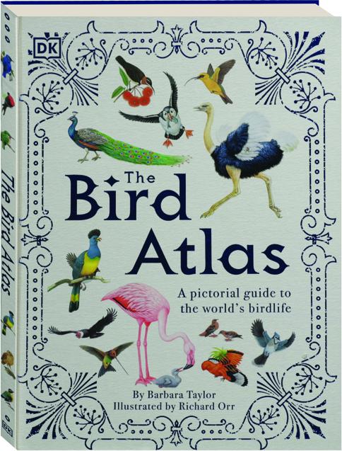 atlas bird tour