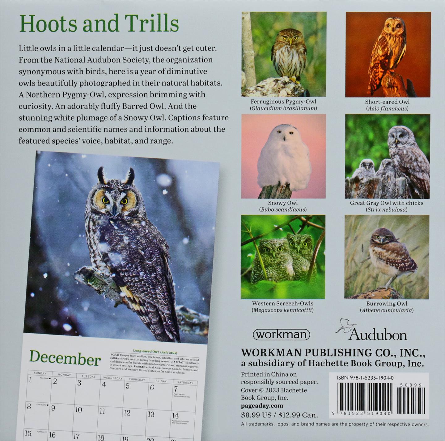 2024 AUDUBON LITTLE OWLS MINI CALENDAR