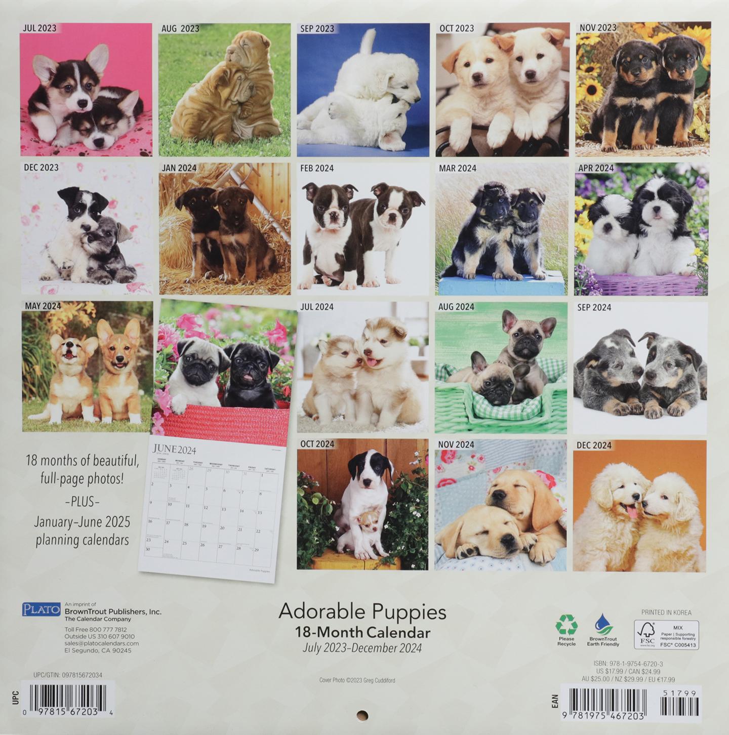 2024 ADORABLE PUPPIES CALENDAR