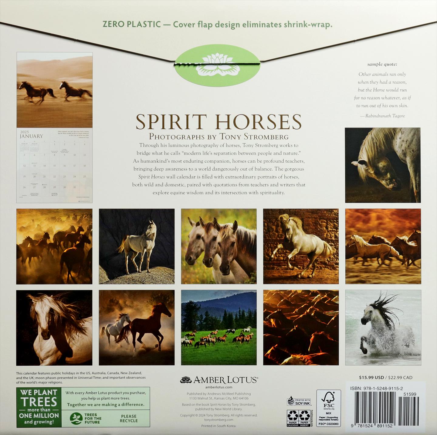 2025 SPIRIT HORSES CALENDAR